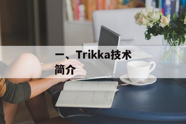 一、Trikka技术简介