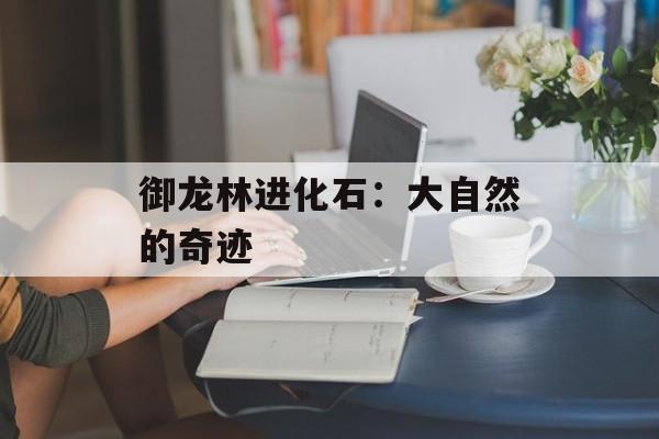 御龙林进化石：大自然的奇迹