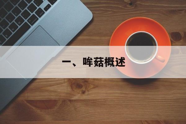 一、哞菇概述