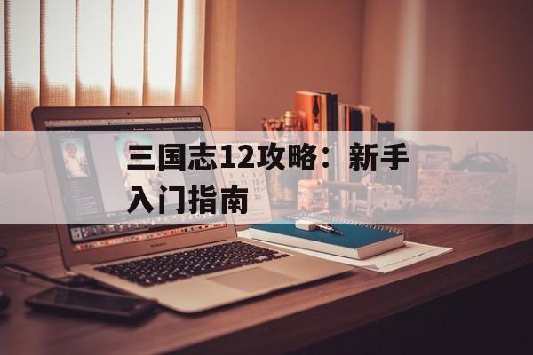 三国志12攻略：新手入门指南