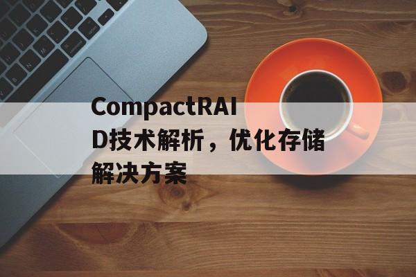 CompactRAID技术解析，优化存储解决方案