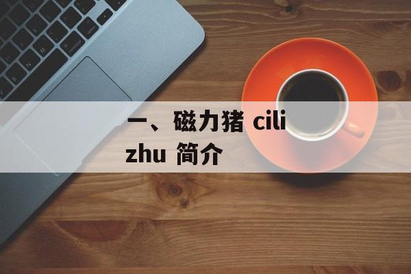 一、磁力猪 cilizhu 简介