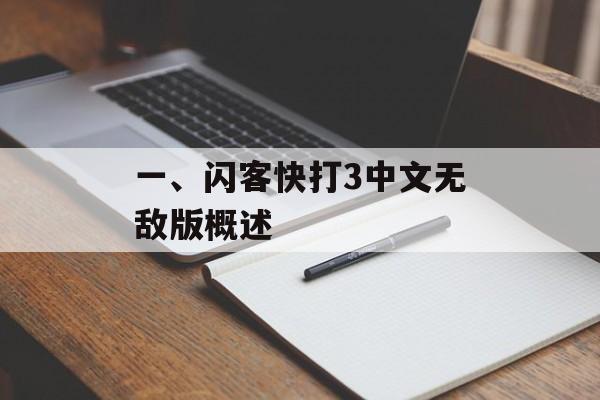 一、闪客快打3中文无敌版概述