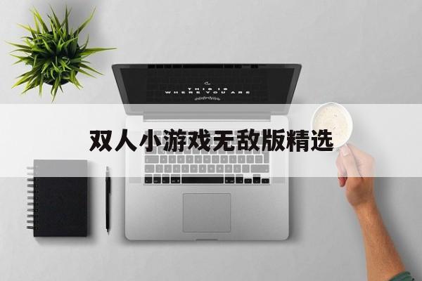 双人小游戏无敌版精选