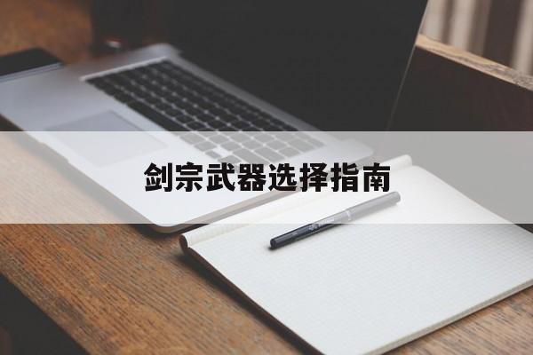 剑宗武器选择指南