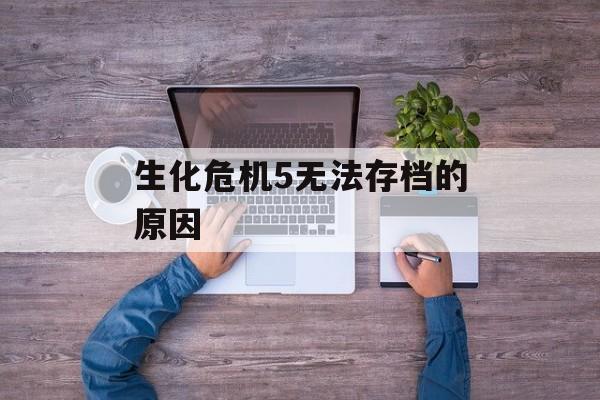生化危机5无法存档的原因