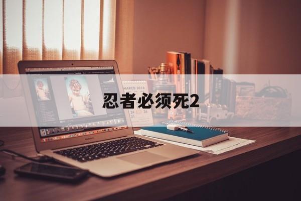 忍者必须死2