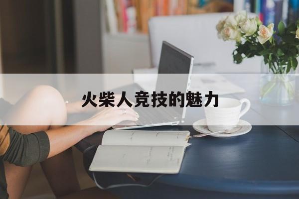 火柴人竞技的魅力