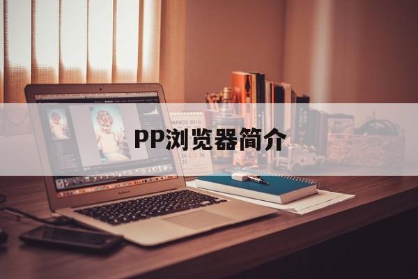 PP浏览器简介