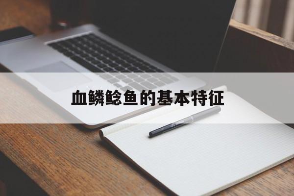 血鳞鲶鱼的基本特征