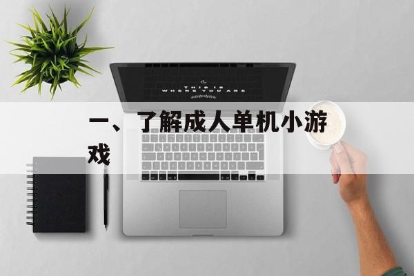一、了解成人单机小游戏