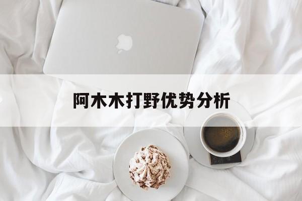 阿木木打野优势分析