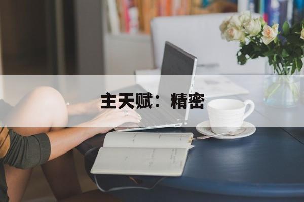 主天赋：精密