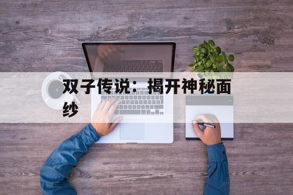 双子传说：揭开神秘面纱