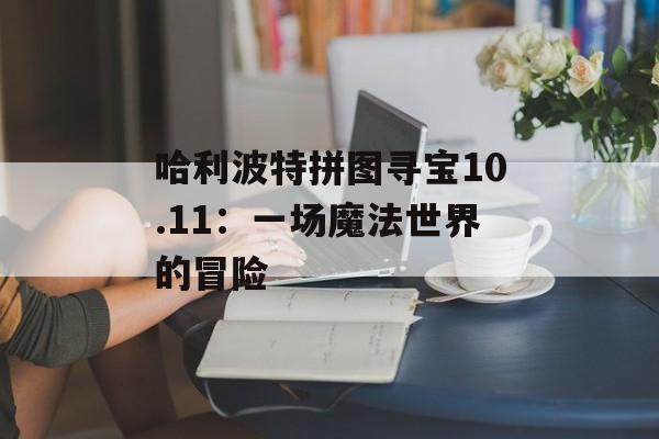 哈利波特拼图寻宝10.11：一场魔法世界的冒险