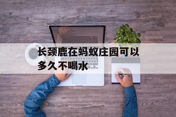 长颈鹿在蚂蚁庄园可以多久不喝水