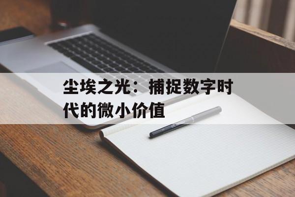 尘埃之光：捕捉数字时代的微小价值
