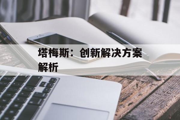 塔梅斯：创新解决方案解析