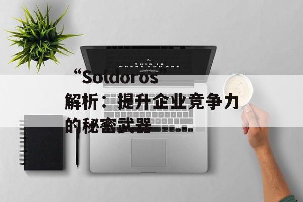 “Soldoros”解析：提升企业竞争力的秘密武器