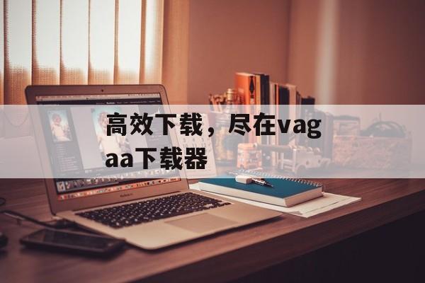 高效下载，尽在vagaa下载器