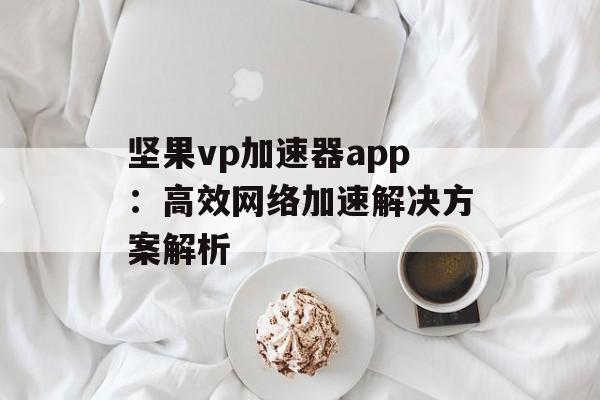 坚果vp加速器app：高效网络加速解决方案解析