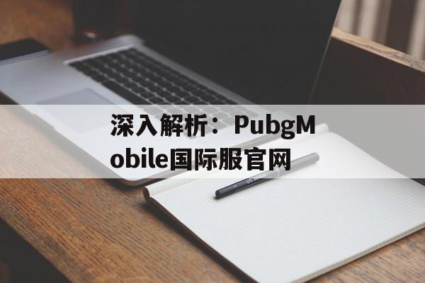 深入解析：PubgMobile国际服官网