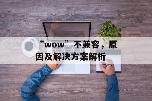“wow”不兼容，原因及解决方案解析
