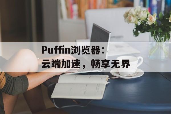 Puffin浏览器：云端加速，畅享无界