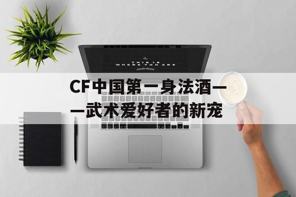 CF中国第一身法酒——武术爱好者的新宠