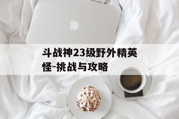 斗战神23级野外精英怪-挑战与攻略