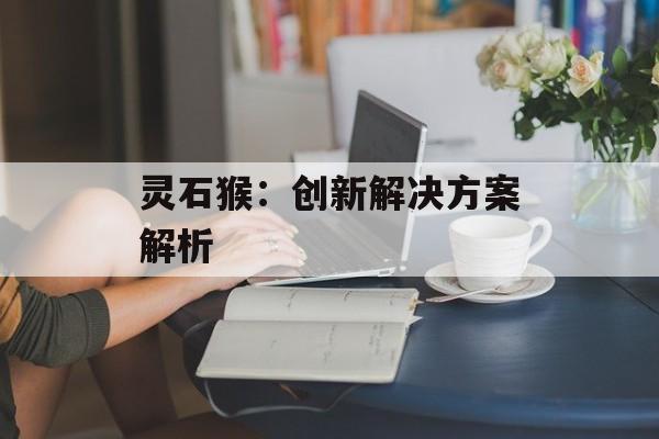 灵石猴：创新解决方案解析