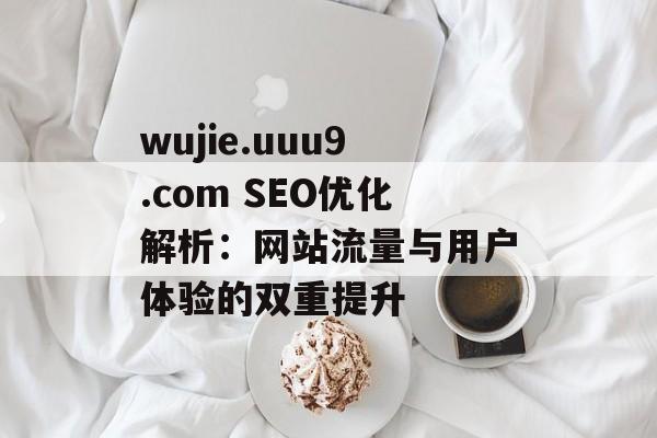wujie.uuu9.com SEO优化解析：网站流量与用户体验的双重提升