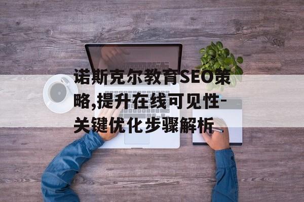 诺斯克尔教育SEO策略,提升在线可见性-关键优化步骤解析