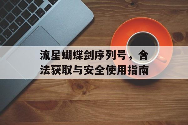 流星蝴蝶剑序列号，合法获取与安全使用指南