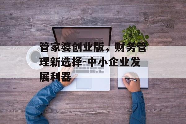 管家婆创业版，财务管理新选择-中小企业发展利器