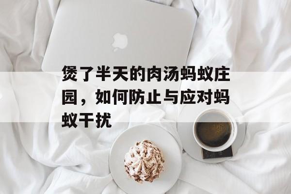 煲了半天的肉汤蚂蚁庄园，如何防止与应对蚂蚁干扰
