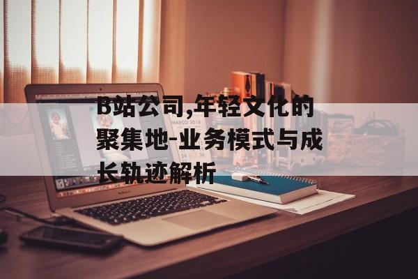 B站公司,年轻文化的聚集地-业务模式与成长轨迹解析