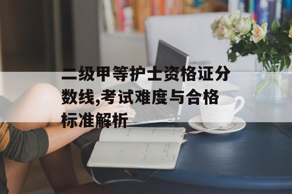 二级甲等护士资格证分数线,考试难度与合格标准解析