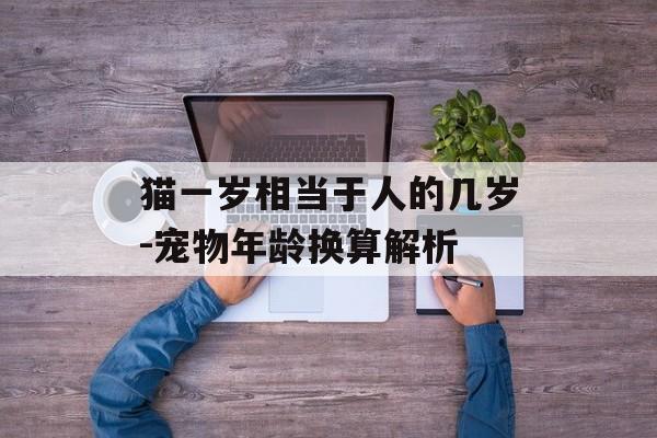 猫一岁相当于人的几岁-宠物年龄换算解析