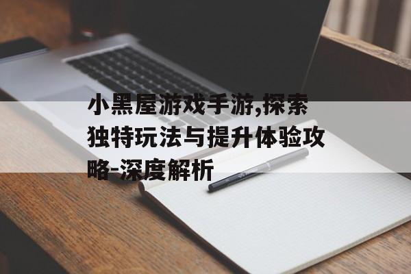 小黑屋游戏手游,探索独特玩法与提升体验攻略-深度解析