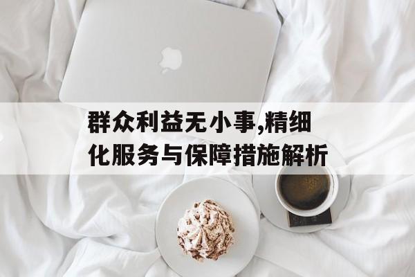 群众利益无小事,精细化服务与保障措施解析