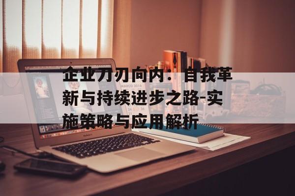 企业刀刃向内：自我革新与持续进步之路-实施策略与应用解析