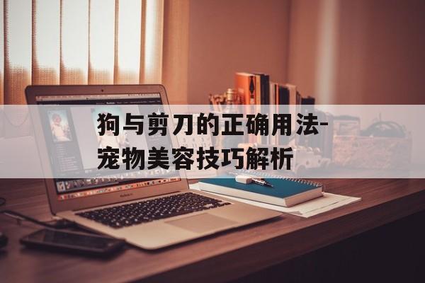 狗与剪刀的正确用法-宠物美容技巧解析
