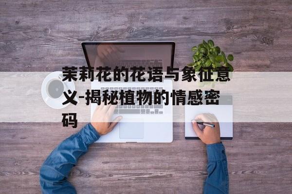 茉莉花的花语与象征意义-揭秘植物的情感密码
