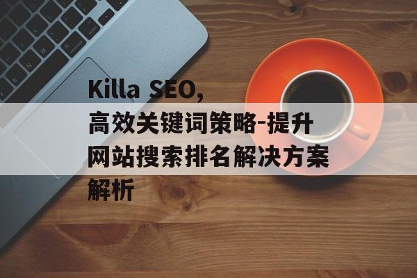 Killa SEO,高效关键词策略-提升网站搜索排名解决方案解析