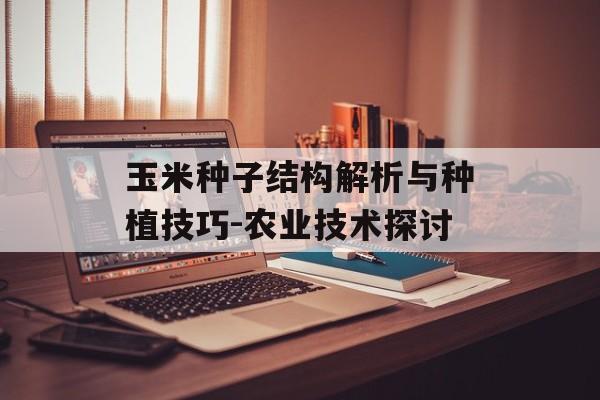 玉米种子结构解析与种植技巧-农业技术探讨
