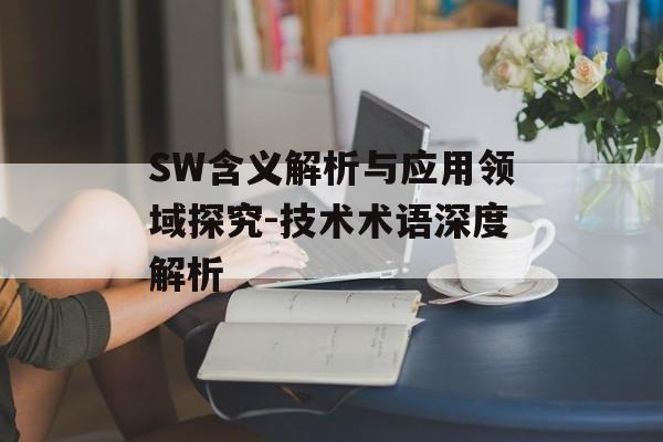 SW含义解析与应用领域探究-技术术语深度解析