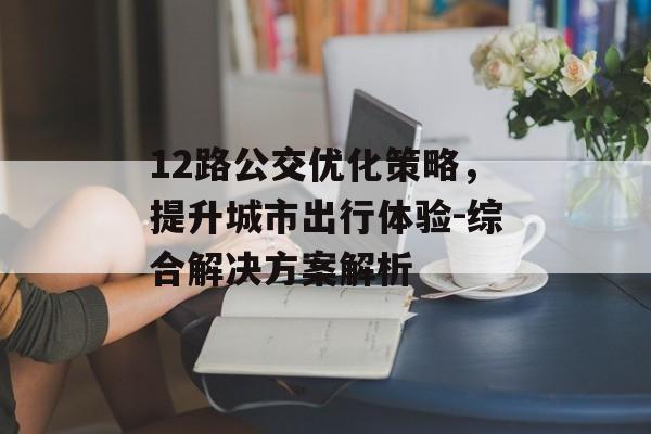 12路公交优化策略，提升城市出行体验-综合解决方案解析