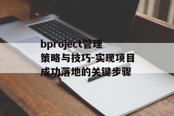 bproject管理策略与技巧-实现项目成功落地的关键步骤