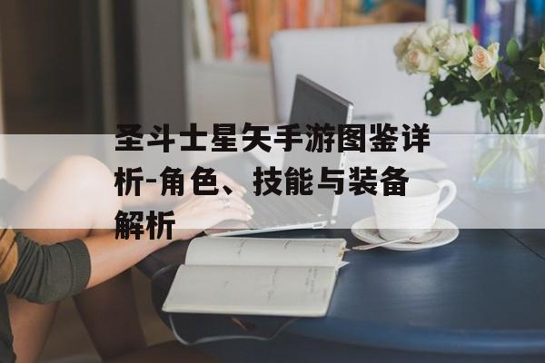 圣斗士星矢手游图鉴详析-角色、技能与装备解析
